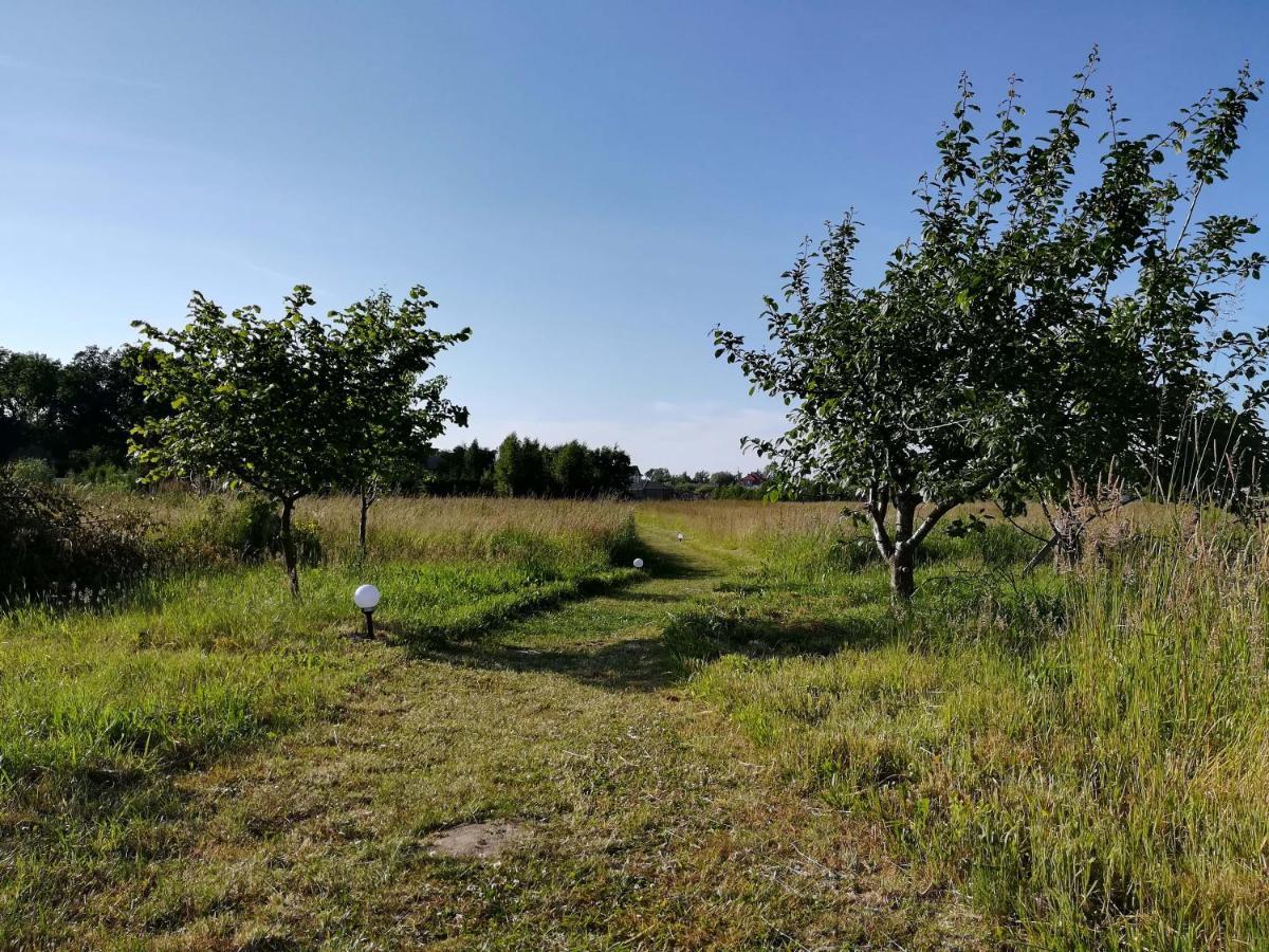 Gaski Na Fali Buitenkant foto