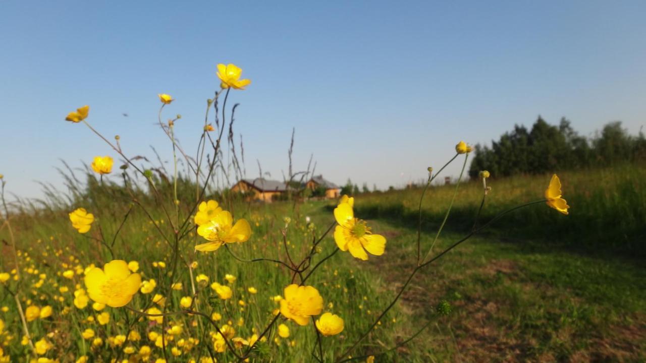 Gaski Na Fali Buitenkant foto