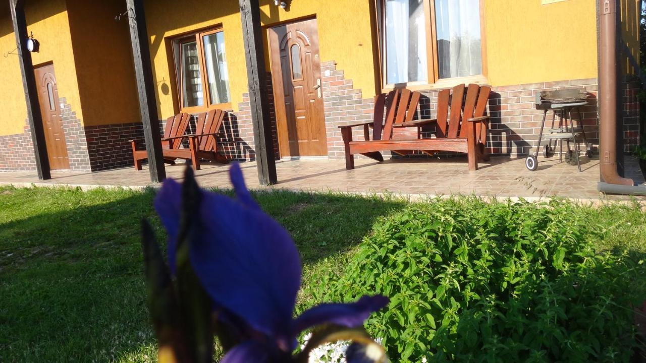 Gaski Na Fali Buitenkant foto