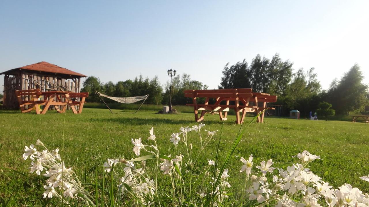 Gaski Na Fali Buitenkant foto